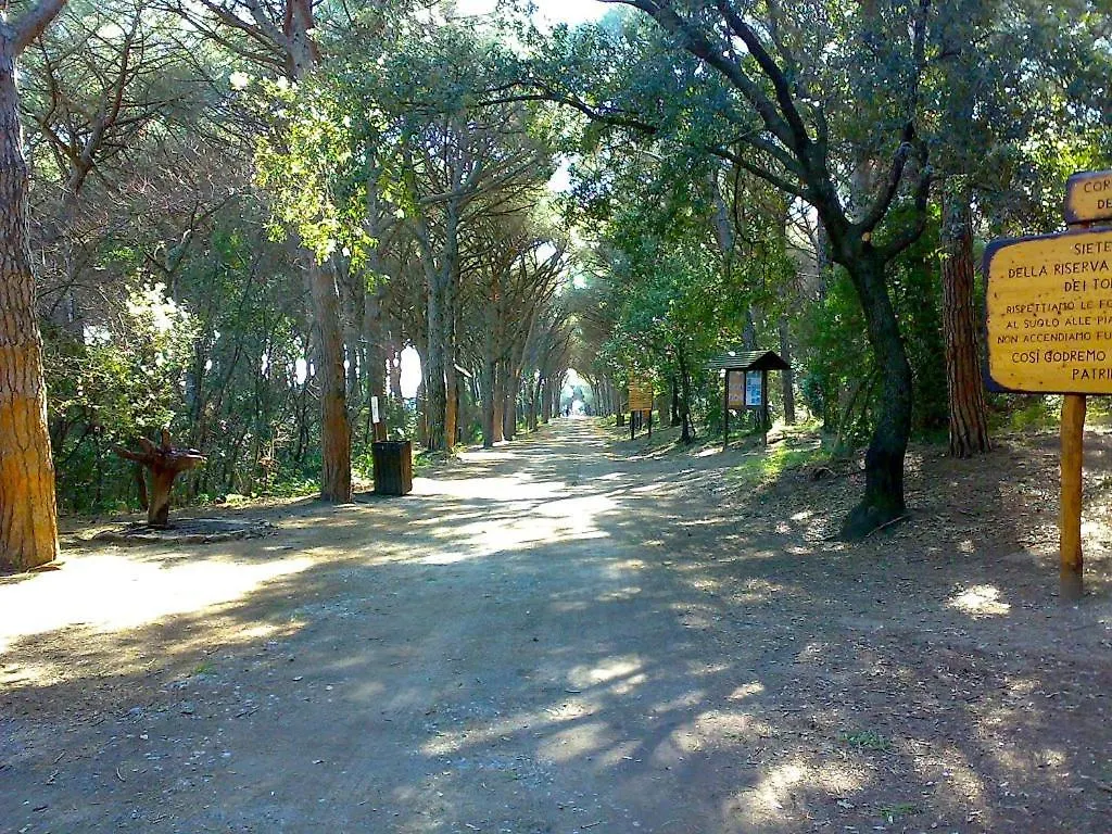 Appartamento Venere Cecina  Apartment Cecina (Livorno)